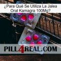 ¿Para Qué Se Utiliza La Jalea Oral Kamagra 100Mg 15